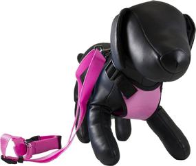 img 2 attached to Petcessory PHB-001-PIN-M Travel Harness Set: Medium Size, Pink - Includes Leash