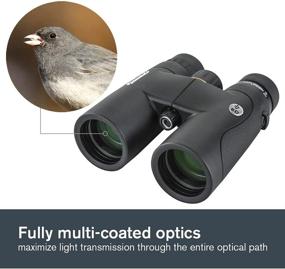 img 2 attached to Celestron Nature DX ED 8x42 Premium Binoculars with Extra-Low Dispersion Glass