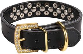 img 1 attached to LOVPE Luxury Gold Rhinestone Buckle Dog Collar with Soft Leather, Mushrooms Rivet, and Gold Spikes - Studded Personalized Collar for Small, Medium, Large Dog Breeds like Pit Bulls