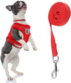 img 4 attached to XL Gules Soft Mesh Cat Vest Harness with Reflective Straps - Lamoutor Cat Harness and Leash for Better Control and Safety