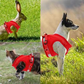 img 3 attached to XL Gules Soft Mesh Cat Vest Harness with Reflective Straps - Lamoutor Cat Harness and Leash for Better Control and Safety