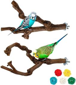 img 4 attached to Natural Wild Grape Stick Perch Stand for Parakeet, Budgies, Lovebirds - Paw Grinding & Climbing Station Cage Toy Branches
