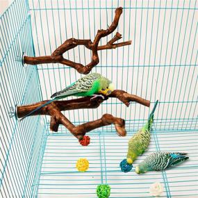 img 1 attached to Natural Wild Grape Stick Perch Stand for Parakeet, Budgies, Lovebirds - Paw Grinding & Climbing Station Cage Toy Branches