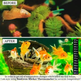 img 1 attached to 🐠 Стикер-термометр SunGrow для аквариума - точное измерение температуры в баке для рыб, креветок и черепах - удобное нанесение и приклеивание, 2 цветовых индикатора.