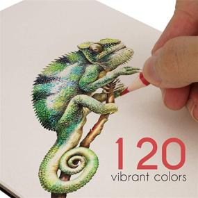 img 1 attached to Zenacolor 120 Colored Pencils Set - Premium Art Supplies 🖍️ in Cardboard Case - Ideal for Adult Coloring Books and More