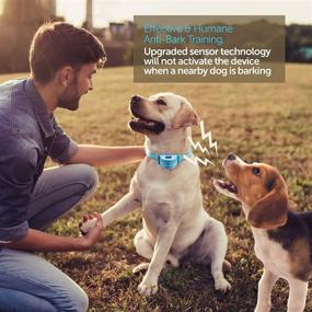 img 1 attached to 🐶 Boshel Dog Bark Collar: Upgraded Anti Bark Electric Collar for Small, Medium & Large Dogs - Beep, Vibration & Safe Static Shock - Rechargeable & Waterproof