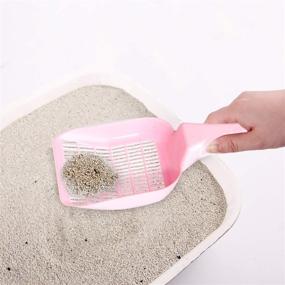 img 2 attached to PAWISE Cat Starter Kit - 4PCS Kitty Supplies, Perfect for Small Kitties, 14.5x10.5 Inch