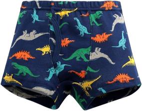 img 3 attached to Secdtie Dinosaur Toddler Underwear Striped Boys' Clothing