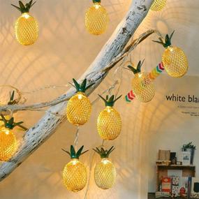 img 1 attached to 🍍 2 Sets of Whonline Pineapple LED String Lights - 16ft 20 Battery Operated Fairy String Lights, Perfect for Party, Bedroom, Home, Birthday, Outdoor Hawaiian Tropical Tiki Gifts Decorations - Warm White Illumination