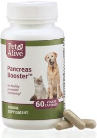 img 3 attached to 🐾 PetAlive Pancreas Booster - Natural Herbal Supplement for Pancreatic Health and Digestive Functioning in Cats and Dogs - Enhances Healthy Insulin Production