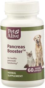 img 4 attached to 🐾 PetAlive Pancreas Booster - Natural Herbal Supplement for Pancreatic Health and Digestive Functioning in Cats and Dogs - Enhances Healthy Insulin Production