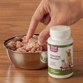 img 2 attached to 🐾 PetAlive Pancreas Booster - Natural Herbal Supplement for Pancreatic Health and Digestive Functioning in Cats and Dogs - Enhances Healthy Insulin Production