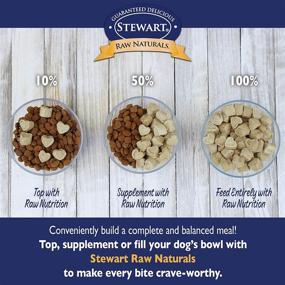 img 1 attached to 🐾 Stewart Raw Naturals Freeze Dried Dog Food: Small Batch Grain Free, Made in USA - Complete and Balanced Meals for Dogs, Ideal for All Breeds and Life Stages