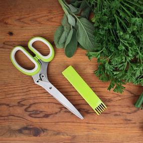 img 2 attached to 🍃 RSVP International Dishwasher Safe Herb Scissors in Green - Fruit & Vegetable Kitchen Tool Collection