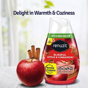 img 2 attached to Renuzit Apple Cinnamon Ounce Pack