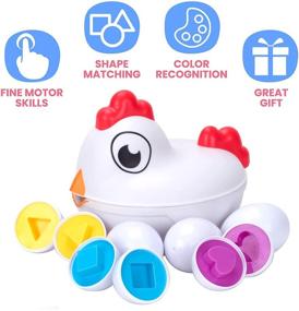img 1 attached to 🥚 Игрушка "Яйцо" для развития мелкой моторики - Куриная игрушка с 6 игрушечными яйцами, сенсорные игрушки для сортировки и сопоставления яиц и цветов яиц, подарок в стиле Монтессори на Пасху для детей от 2 лет и старше, от 18 месяцев, от компании Toypix