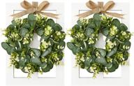 dahey farmhouse wall decor window frames with eucalyptus wreath - set of 2, rustic wood fake window wall art for dining room living room kitchen entryways, 16 x 11 inch, white логотип