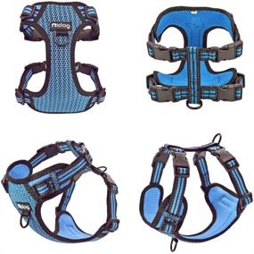 img 3 attached to 🐶 No-Pull Dog Vest Harness by Didog – Step-in Design, Soft Breathable Air Mesh, Reflective & Escape-Proof – Ideal for Walking Small to Medium Dogs