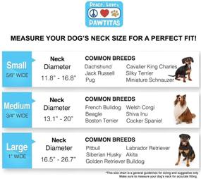 img 2 attached to Enhance Your Dog's Training and Safety with the Pawtitas Martingale Reflective Puppy Collar