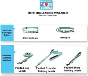 img 3 attached to Enhance Your Dog's Training and Safety with the Pawtitas Martingale Reflective Puppy Collar