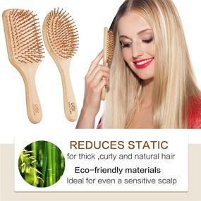 Hair Brush, BESTOOL Small Travel Hair Brushes for Women, Men or Kids,  Wooden Toddler Boar Bristle Hair Brush for Detangling, Defrizz, Distribute  Oil (Blue)