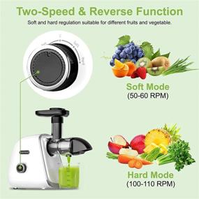 img 3 attached to 🍏 WOWDSGN Slow Masticating Juicer: Easy-to-Clean, 2-Speed Cold Press Extractor with Quiet Motor and Reverse Function - Ideal for Vegetables & Fruits