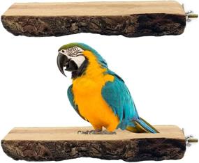 img 4 attached to 🐦 Wooden Parrot Perch Stand & Exercise Platform Toys for Parakeets, Budgies, Conures, Cockatiels, Lovebirds, and Finches - Set of 2 Accessories for Bird Cages