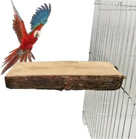 img 1 attached to 🐦 Wooden Parrot Perch Stand & Exercise Platform Toys for Parakeets, Budgies, Conures, Cockatiels, Lovebirds, and Finches - Set of 2 Accessories for Bird Cages