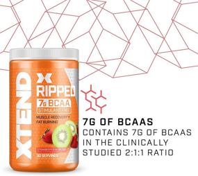 img 2 attached to XTEND Ripped BCAA Powder Strawberry Kiwi: Ultimate Sugar-Free Post-Workout Muscle Recovery 🍓 Drink with 7g of BCAAs for Men & Women - Cutting Formula, 30 Servings