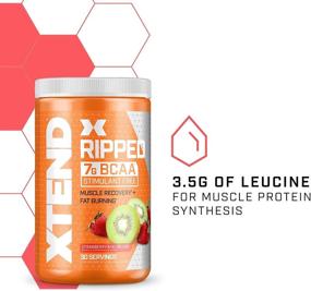 img 1 attached to XTEND Ripped BCAA Powder Strawberry Kiwi: Ultimate Sugar-Free Post-Workout Muscle Recovery 🍓 Drink with 7g of BCAAs for Men & Women - Cutting Formula, 30 Servings