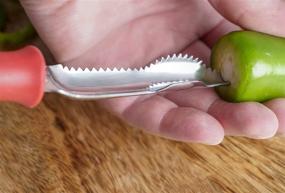 img 1 attached to Effortless Coring: RSVP Endurance Stainless Steel Jalapeno Pepper Corer Unleashes Flavorful Delights!