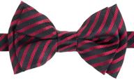 stylish modern stripe microfiber pre tied boys' accessories and bow ties by retreez logo