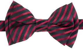img 1 attached to Stylish Modern Stripe Microfiber Pre Tied Boys' Accessories and Bow Ties by Retreez