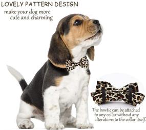 img 2 attached to 🐶 Bubblepup Dog Collar with Bow: Ultimate Comfort and Style for Small, Medium, and Large Dogs