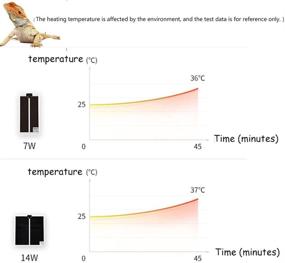 img 2 attached to Temperature Adjustment Reptiles Turtle，Under 5 51Inch11Inch