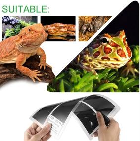 img 1 attached to Temperature Adjustment Reptiles Turtle，Under 5 51Inch11Inch