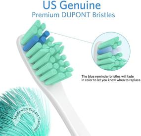 img 2 attached to 🪥 6-Pack Replacement Toothbrush Heads - Compatible with Philips Sonicare E-Series Electric Rechargeable Toothbrush - Precision Clean Refills