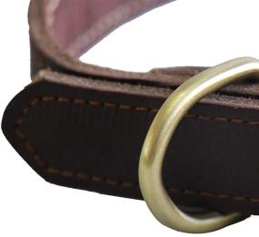 img 3 attached to QRDA Adjustable Leather Collar Hardware