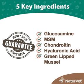 img 3 attached to NaturVet Glucosamine for Dogs – Dog Supplement with Glucosamine, 🐶 MSM, Chondroitin & Hyaluronic Acid – Enhanced Soft Chews & Chewable Tablets