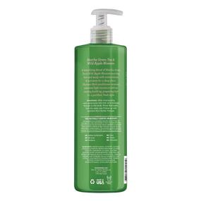 img 2 attached to Not Your Mother's Naturals Matcha Green Tea Shampoo & Conditioner Dual Pack: An Effective 15.2 fl oz Solution