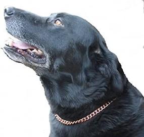 img 1 attached to ProExl Magnetic Therapy Collars Measure