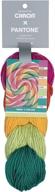 vibrant lollypop whirl yarn by caron x pantone - discover an exquisite blend of colors! logo