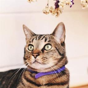 img 2 attached to Cat Calming Collar: Reduce Stress & Anxiety with Pheromones - A Portable Solution for Travel and Relaxation