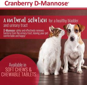 img 2 attached to 🐾 PHS Cranberry D-Mannose Urinary Tract Support Supplement for Cats and Dogs - Bladder and UT Health - Made in USA - 120 Soft Chews