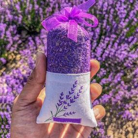 img 2 attached to 🌸 LASENTEUR Scented Sachets - Lavender Scented Sachet Bag for Closets, Drawers, Gym Bags, Cars, Linen Closets, Wardrobes - Pack of 8 Lavender Flower Sachets