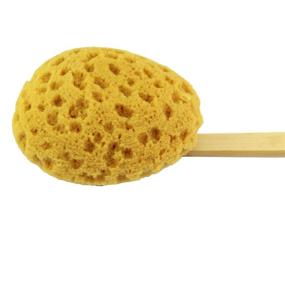 img 1 attached to 🚿 Long-handled Shower Body Brush with Sea Sponge, Gentle Exfoliating Back Scrubber, Bath Brush, and Lotion Applicator