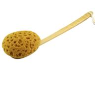 🚿 long-handled shower body brush with sea sponge, gentle exfoliating back scrubber, bath brush, and lotion applicator logo