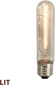 img 1 attached to 💡 Royal Designs LB-2001-6 Clear Antique Vintage Style Edison T10 Dimmable Incandescent Light Bulbs, E26 Medium Brass, 120V, 60 Watts, Set of 6, 6-Pack, Silver Base, 6 Count