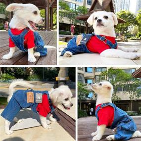 img 3 attached to 🐶 CAISANG Dog Denim Overalls - Stylish Pet Jean Apparel for Small to Medium Dogs & Cats - Comfortable Puppy Costumes - Denim Shirts & Pant Sets - Trendy Outfits (XXL)