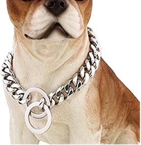 img 1 attached to 🐶 19mm Wide Heavy Duty Stainless Steel Dog Training Collar - Ideal for Pit Bulls, Mastiffs, Bulldogs, and Large Breeds